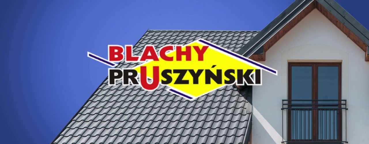 Artykuł: Blachodachówki panelowe Blachy Pruszyński