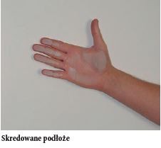 Śnieżka - Skredowane podłoże