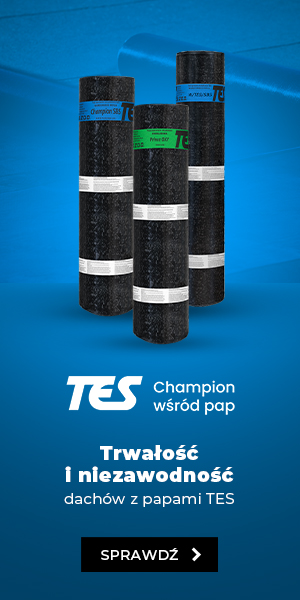 TES LP 1