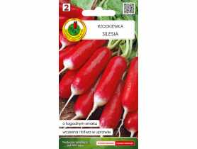 Rzodkiewka Silesia 5 g PNOS