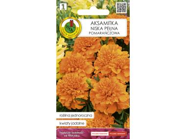 Zdjęcie: Aksamitka pełna niska pomarańczowa 0,5 g PNOS