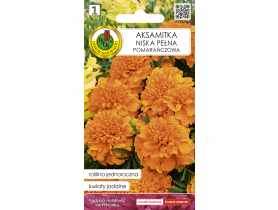 Aksamitka pełna niska pomarańczowa 0,5 g PNOS