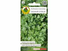 Pietruszka naciowa Gigante Ditalia 2 g PNOS