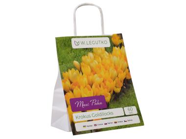 Zdjęcie: Krokus mieszanka Maxi Paka W.LEGUTKO