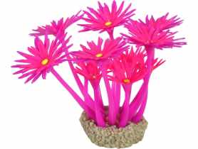 Ozdoba do akwarium Flowers 1 fioletowo-różowa 8x8 cm ZOLUX