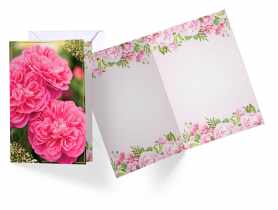 Karnet PP-2146 Kwiaty - bez tekstu KUKARTKA