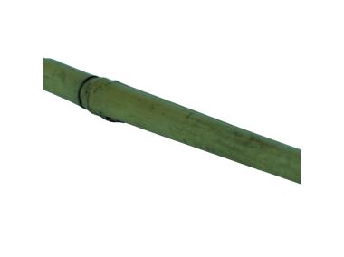 Zdjęcie: Tyczka bambusowa naturalna Bamboo fi8-10 mm x 0,9 m, naturalny NORTENE