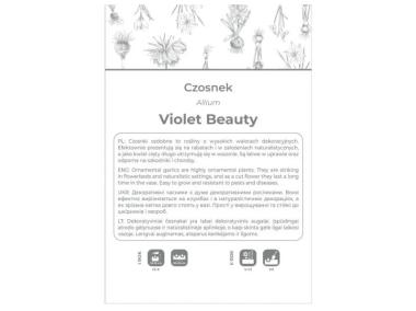 Zdjęcie: Czosnek Violet Beauty fioletowy 4 sztuki W.LEGUTKO