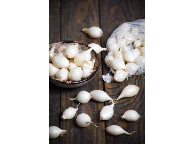 Zdjęcie: Cebula dymka White Snowball 250 g LEGUTKO