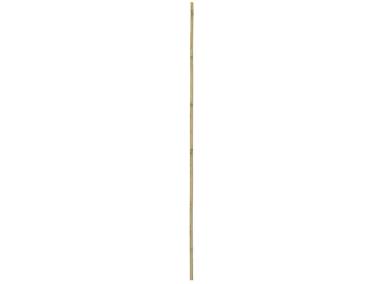 Zdjęcie: Tyczka bambusowa 150 cm, średnica 24-26 mm RN DYSTRYBUCJA