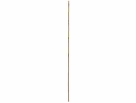 Tyczka bambusowa 150 cm, średnica 24-26 mm RN DYSTRYBUCJA