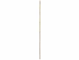 Tyczka bambusowa 150 cm RN DYSTRYBUCJA