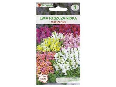 Zdjęcie: Lwia paszcza miesznka 0,3 g W.LEGUTKO