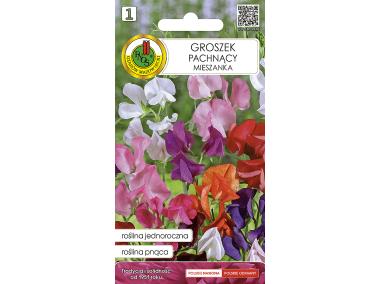 Zdjęcie: Groszek Pachnący mieszany 1 g PNOS