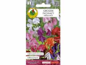 Groszek Pachnący mieszany 1 g PNOS