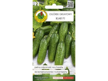 Zdjęcie: Ogórek gruntowy Ikar F1 2 g PNOS