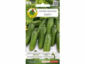 Ogórek gruntowy Ikar F1 2 g PNOS