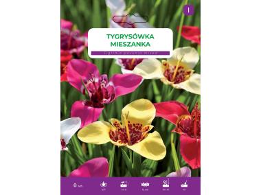 Zdjęcie: Nasiona kwiatów Tygrysówka Pavonia LEGUTKO