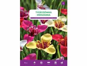 Nasiona kwiatów Tygrysówka Pavonia LEGUTKO