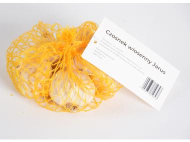 Zdjęcie: Czosnek wiosenny Jarus, 3-4 mm, 4 szt. W.LEGUTKO