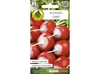 Zdjęcie: Rzodkiewka Caro 5 g PNOS
