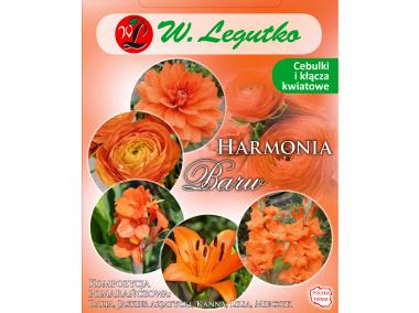 Zdjęcie: Kompozycja pomarańczowa Harmonia Barw Wiosna W.LEGUTKO