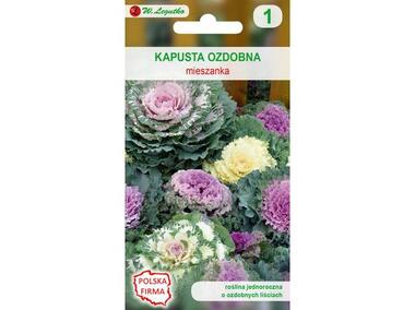 Zdjęcie: Kapusta ozdobna nasiona tradycyjne 0.2 g W. LEGUTKO