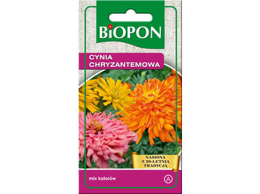 Zdjęcie: Cynia wytworna chryzantemowa mieszanka 1 g BIOPON