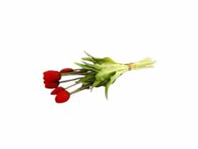 Bukiet tulipanów 7 szt. guma CV13556-7 TOP GIFTS