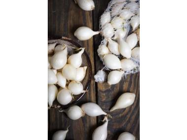 Zdjęcie: Cebula dymka White Snowball 300 g W.LEGUTKO