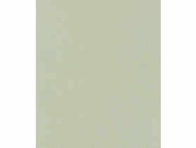 Wykładzina pvc Voyager 2 m - 608-01 LENTEX