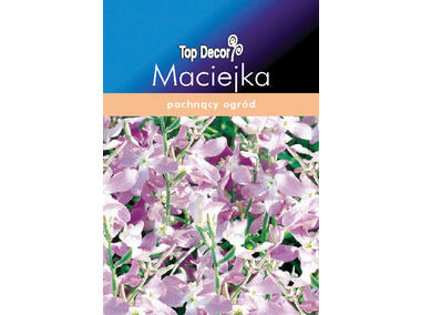 Zdjęcie: Maciejka TOP DECOR