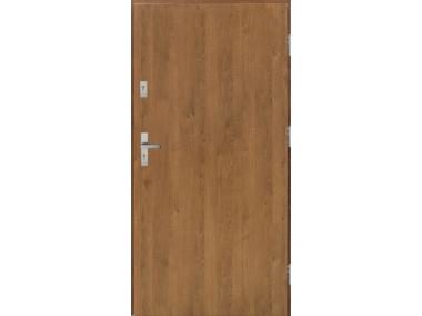 Zdjęcie: Drzwi zewnętrzne stalowo-drewniane Disting Otello 01 Winchester 90 cm prawe KR CENTER