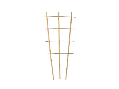 Zdjęcie: Podpora bambusowa 60 cm TIN TOURS