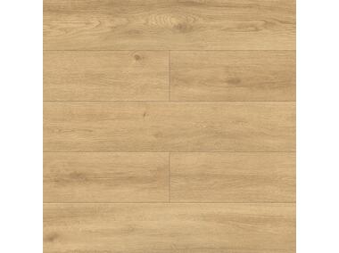 Zdjęcie: Panele podłogowe 4566 dąb bolonia 8 mm V-fuga SWISS KRONO