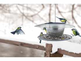 Karmnik dla ptaków Birdfeed Round antracytowy PROSPERPLAST