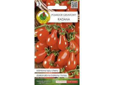 Zdjęcie: Pomidor Radana 0,2 g PNOS