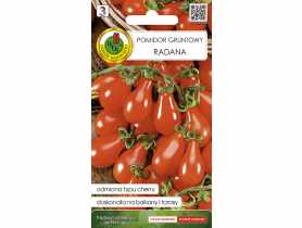 Pomidor Radana 0,2 g PNOS