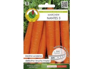 Zdjęcie: Marchew jadalna Nantes 3, nasiona na taśmie 6 m PNOS