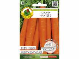 Marchew jadalna Nantes 3, nasiona na taśmie 6 m PNOS