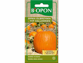 Dynia Olbrzymia typ Halloween 3 g BIOPON