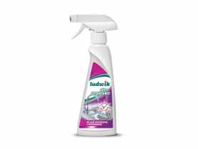 Płyn do mycia stali nierdzewnej i chromowanej 250 ml LUDWIK
