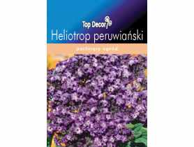 Heliotrop peruwiański TOP DECOR