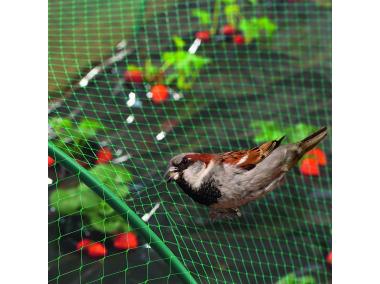 Zdjęcie: Siatka na ptaki Birdnet 4 x 50 m, jasny zielony NORTENE
