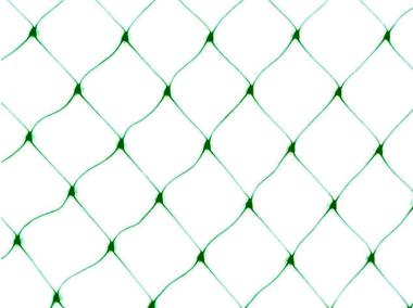 Zdjęcie: Siatka na ptaki Birdnet 4 x 50 m, jasny zielony NORTENE