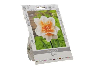 Zdjęcie: Narcyz Replete W.LEGUTKO