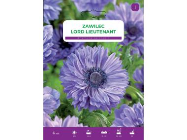 Zdjęcie: Nasiona kwiatów Zawilec blue LEGUTKO