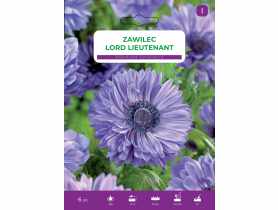 Nasiona kwiatów Zawilec blue LEGUTKO