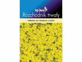 Rozchodnik trwały TOP DECOR