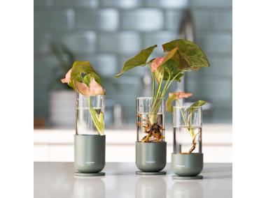 Zdjęcie: Zestaw szklanych pojemników do propagacji roślin Plant Care z metalową podstawą FISKARS